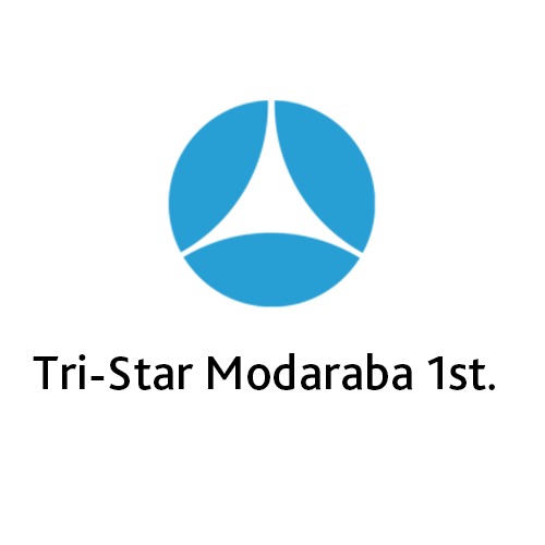 SDG Leadership Programme 5: Gender Equality in the Workplace