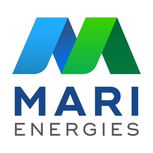 SDG Leadership Programme 5: Gender Equality in the Workplace